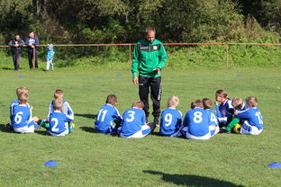 九游游戏在线玩-瑞典团队战术:从快攻到慢球的多变打法,瑞典几分钟进球 第1张 九游游戏在线玩-瑞典团队战术:从快攻到慢球的多变打法,瑞典几分钟进球 第1张